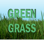 Green Grass Studio