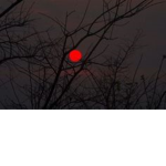 Saidei's Eye.