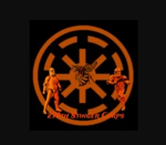 297th Stinger Corps