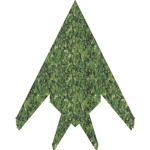 Nighthawk Development Group