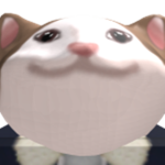 this costed me 100 robux to change this