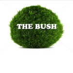BUSH SQUAD!!!!!!!!!!!!