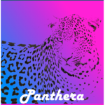 Panthera Studios