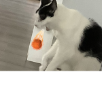 Gangster lemonade squad