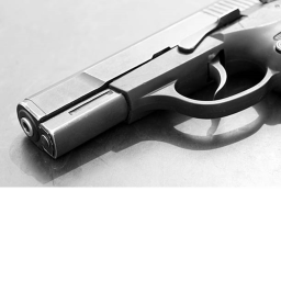 PS Gun Testing