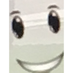 Nelrobloxking