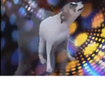 Doggoiskind