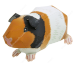 grupo ekisde nose uwu