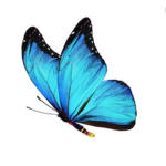 Butterfly cry