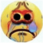 lol yes im memer