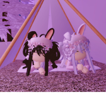 gemini ded. com