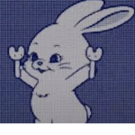bunnies xx