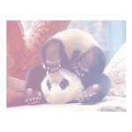 Milky panda