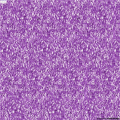 Purple Glitter Roblox decal