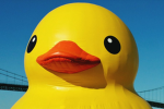 Ariskii's Duckies<3