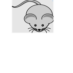Rat Jojo