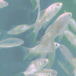 𝙞