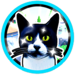 Pet the Cat!