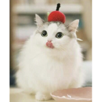 Apple awesomez
