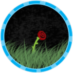 Where Have All the Flowers Gone?
