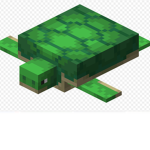 Clan Of Turtles
