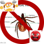 Anti Lyme Disease Pact