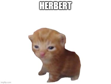 My AHHHHHHHHHHH