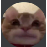 Ripz’s Fan Group