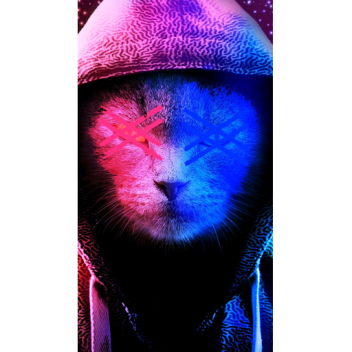 CREATE AND DESTROY !