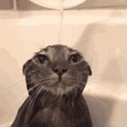 tap water-blox