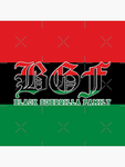 Black Guerrilla Family. (Regime militar)
