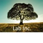 The Lab!!!