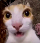 WE ARE FORSAKEN WE ARE FORSAKEN WE ARE FORSAKEN WE