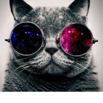 babou (: