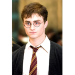 Harry potter fans 2