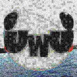 Penguin Experiences