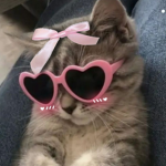 ʙʀɪ'ꜱ ᴘᴏᴏᴋɪᴇꜱ