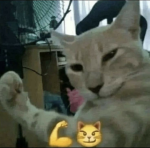 chupapico
