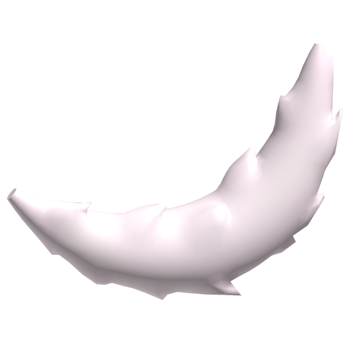 cute white puppy tail