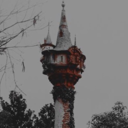 𝘵𝘰 𝘴𝘦𝘦