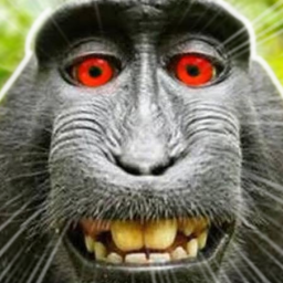 Survive The Monkey 🪓🐵 (Alpha)