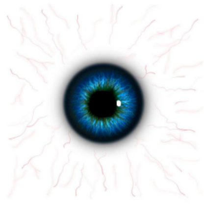 Eye Texture 2 Roblox decal