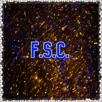 F.S.C. [BETA]