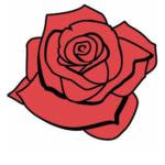 Angela's roses <3