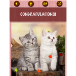 Kitty be amazing