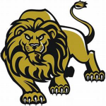 Minnesota Lions
