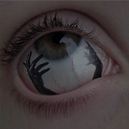 🕸️