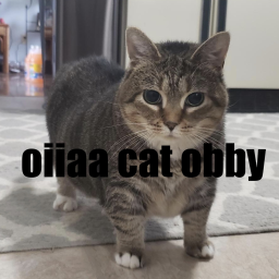 Singing Spinning Oiia Cat Obby