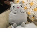 Even cat
