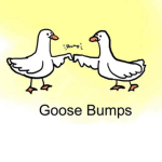 Goose Gangsters.....